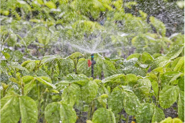 Actual product image Gardena Spray nozzle 360 (Drip irrigation dripper)