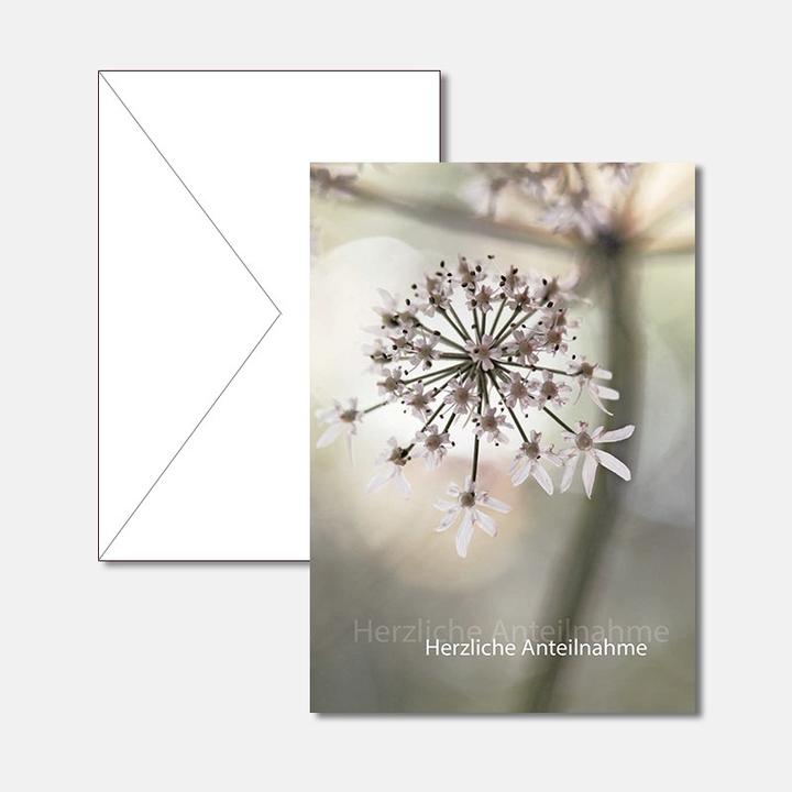 Produktbild Trauerkarte - Kerbelblüte (1 Stk.)