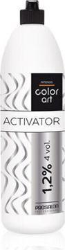 Image du produit Chantal Prosalon Color Art 1.2% Oxydant 900g