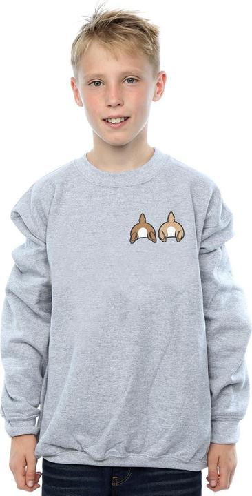 Actual product image Disney Boys Chip N Dale Backside Breast Print Sweatshirt (128)