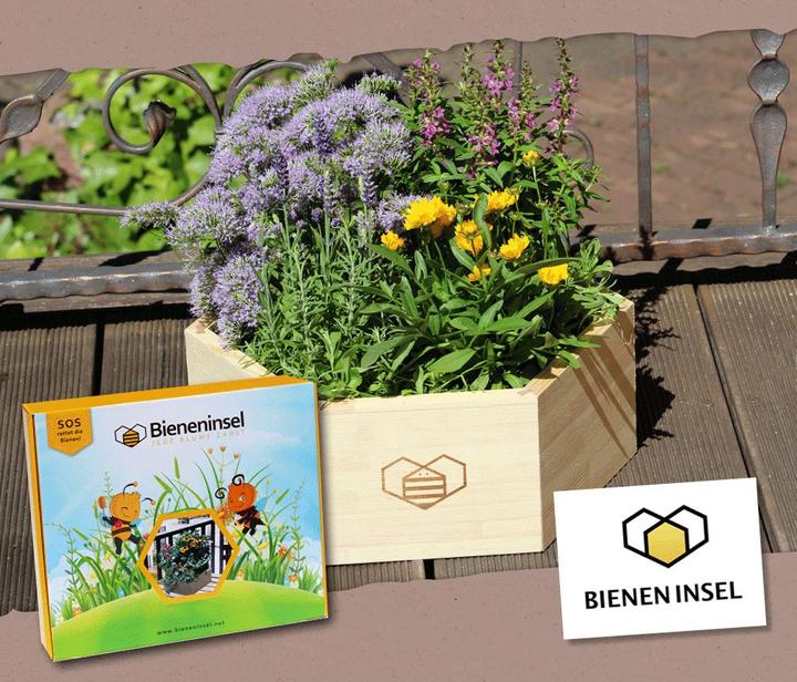 Produktbild Veganz Bieneninsel