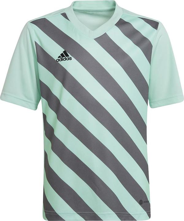 Image du produit adidas Maillot Entrada 22 Graphic (128)