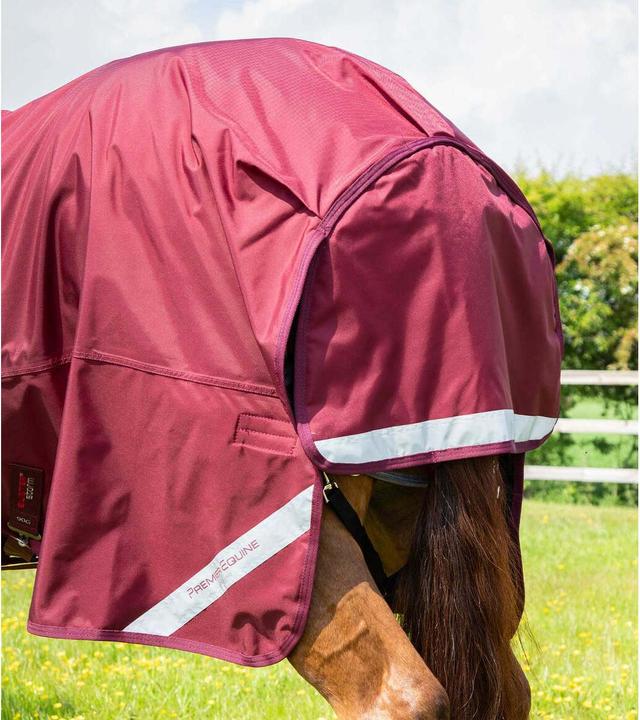 Immagine prodotto Premier Equine Buster Storm Classic 90 g (213 cm)