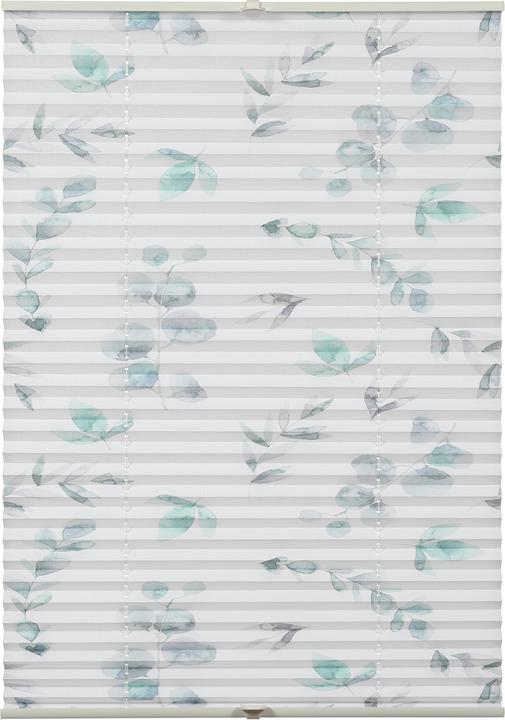 Produktbild Gardinia Plissee Concept zum Klemmen Flowers and Plants Zweig (80 x 210 cm)