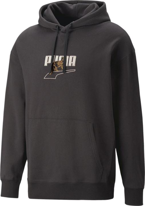 Produktbild Puma DOWNTOWN Graphic Hoodie TR (L)