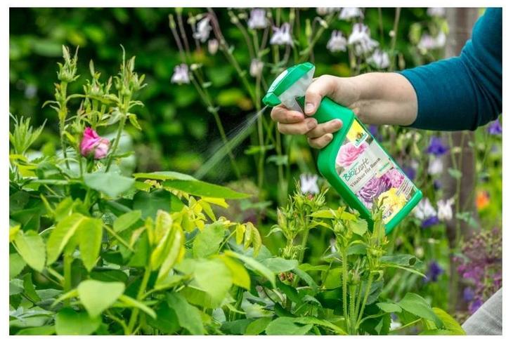 Actual product image Neudorff BioKraft vital cure for roses, 500 ml