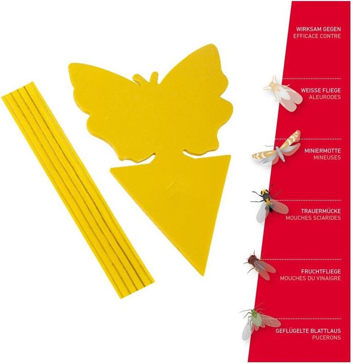 Immagine prodotto Windhager Trappola cromatica