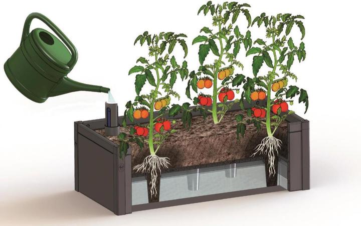 Actual product image Colibri Irrigation system