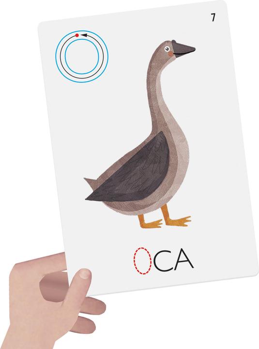 Immagine prodotto Sombo Flashcards Montessori (Italiano)