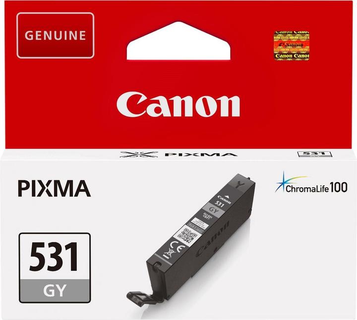 Actual product image Canon CLI-531 (GY) (GY)