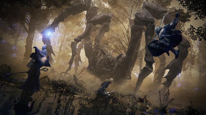 Produktbild Bandai Namco Elden Ring Nightreign (Seekers Edition) (PS5, EN)