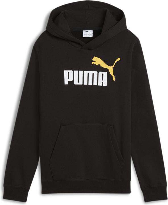 Puma ESS 2 COLOR No. 1 Logo Hoodie FL B