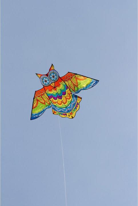 Produktbild Invento Drachen Jazzy Owl Kite 145x85 cm, ab 5 Jahren, inkl. Spule mit Schnur 40 m
