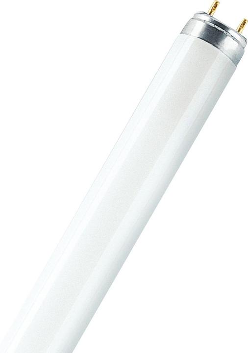 Image du produit Osram Natura (G13, 36 W, 1800 lm, 1 x, G)