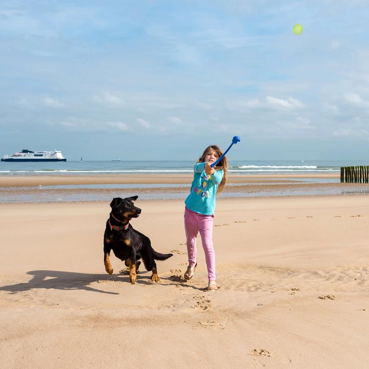 Actual product image Relaxdays Ball slingshot (Ball toy dog)