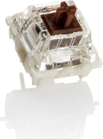 Actual product image Ducky Gateron G Pro Brown RGB Switches, mechanical, 3-pin, tactile, MX stem, 55g - 110 pieces