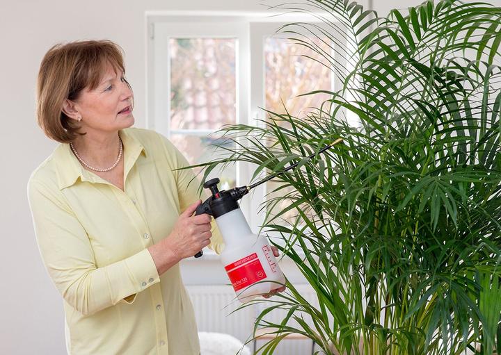 Immagine prodotto Birchmeier Stella super (1.25 l)