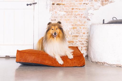 Produktbild Designed by Lotte Liegekissen Ribbed (Hund)