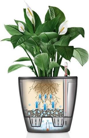 Produktbild Lechuza Classico (28.50 cm)