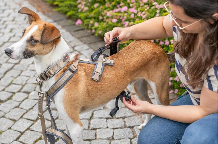 Produktbild Trixie Panik-Adapter Stay für Geschirre M-L (Hund, Allgemein)