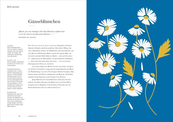Immagine prodotto Herbarium (Tedesco, Caz Hildebrand, 2019)