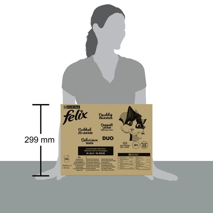 Actual product image Felix Twice as tasty meat (Adult, 120 pcs., 10200 g)