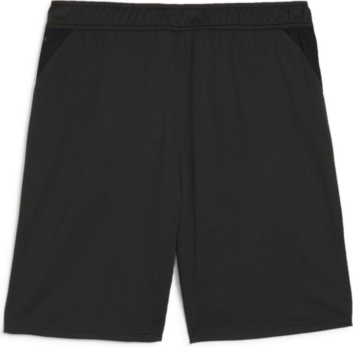 Actual product image Puma teamGOAL Training Short (3XL)