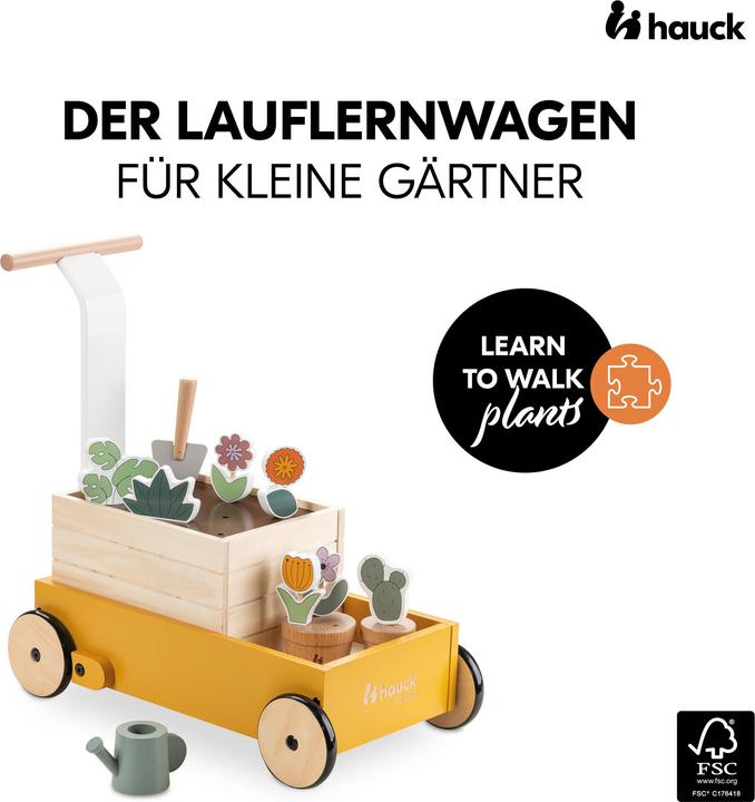 Image du produit Hauck Learn to Walk Plants
