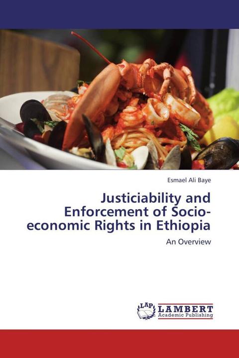 Actual product image Justiciability and Enforcement of Socio-economic Rights in Ethiopia (Esmael Ali Baye, 2012)