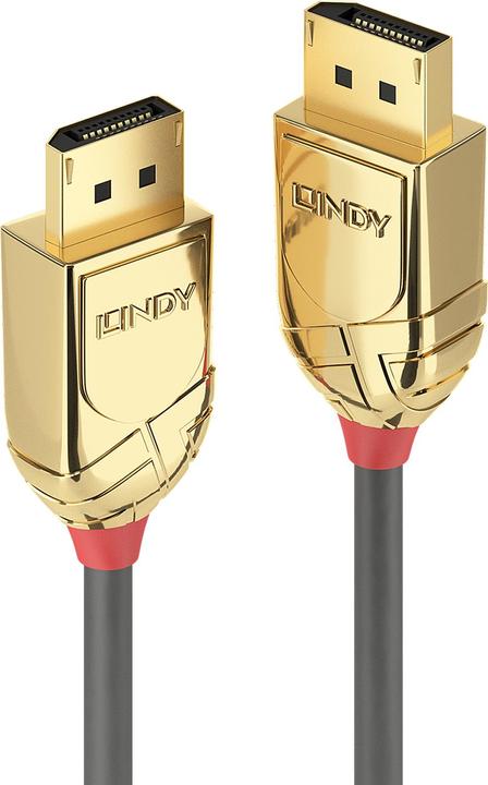 Image du produit Lindy DisplayPort — DisplayPort (5 m, DisplayPort)