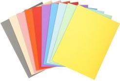 Immagine prodotto Exacompta Copertina per fascicoli FOREVER 250, DIN A4, arancione (A4, 100 x)