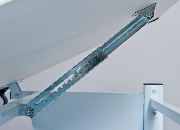 Actual product image Inter Link Cetrix