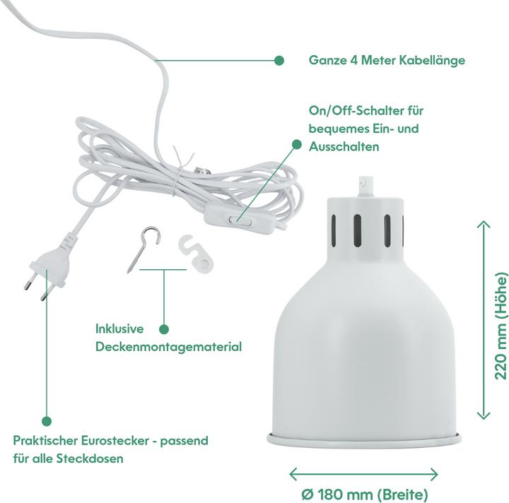 Actual product image Neogard Saga (LED, 230 V)