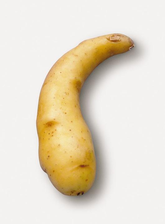 Samen Mauser Saatkartoffel Ratte/Virgule (Gemüsesamen)