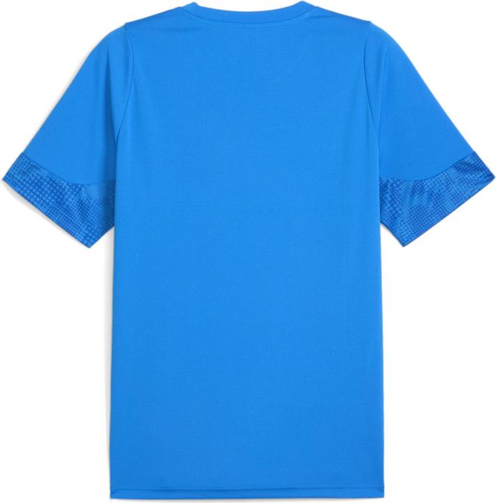 Actual product image Puma teamCUP Training Jersey (M)