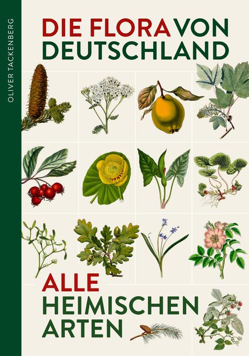 Immagine prodotto Die Flora von Deutschland. Alle heimischen Arten. (Tedesco, Oliver Tackenberg, 2022)
