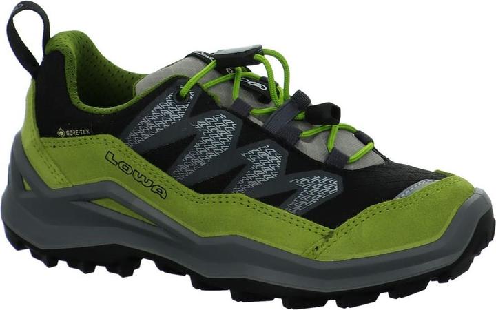 Produktbild Lowa Maddox Pro GTX LO (26)