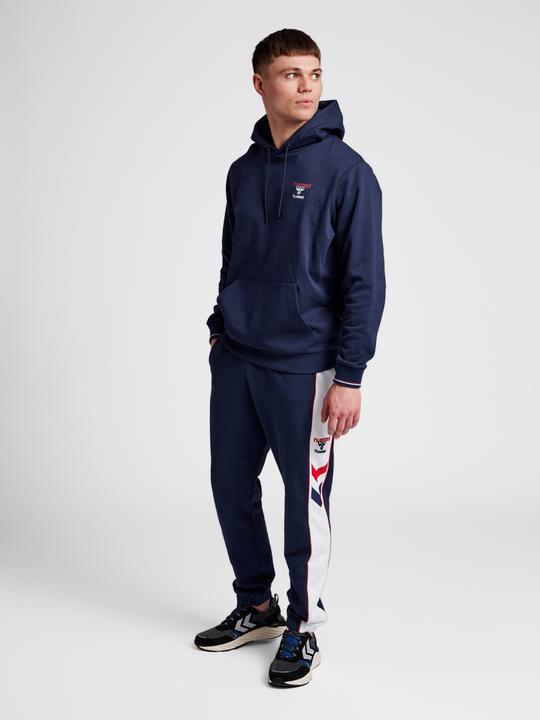 Actual product image hummel Ic Dayton Hoodie (XS)