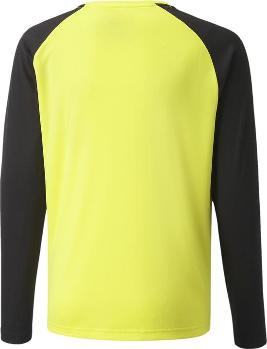 Actual product image Puma teamPACER GK LS Jersey Jr-704939 (164)
