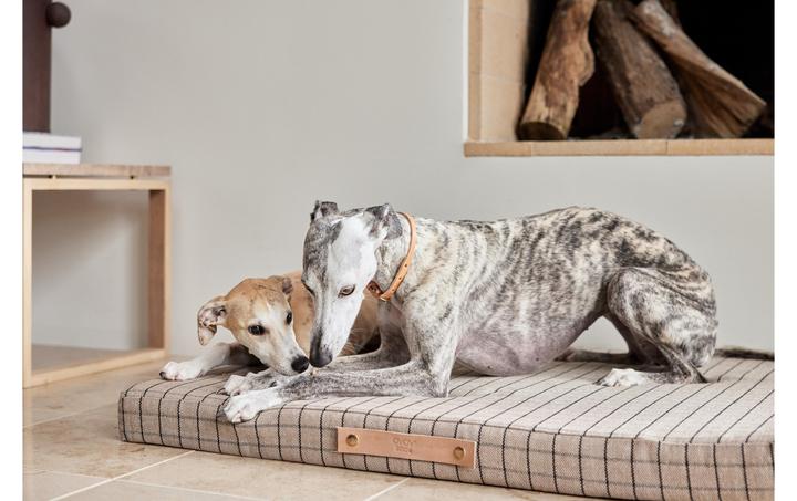 Actual product image Oyoy Milo (Dog)