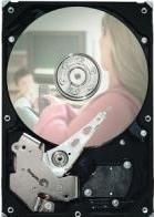 Image du produit Seagate Pipeline HD ST3320311CS (0.32 To, 3.5")