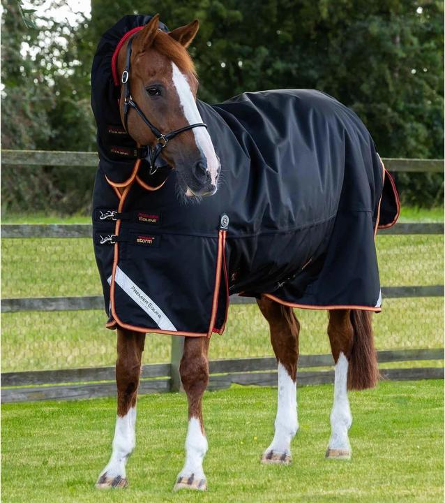 Produktbild Premier Equine outdoor-decke mit halsteil titan storm 450 g (152 cm)