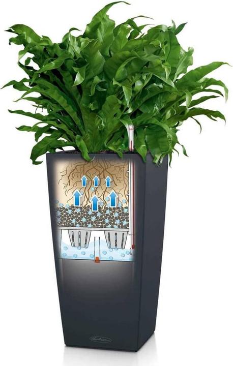Actual product image Lechuza cubico (39.50 cm)