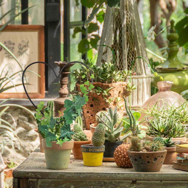 Image du produit Relaxdays Support pour plantes grimpantes Coeur (0.50 cm, 25 cm)