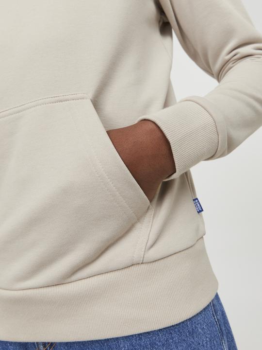 Image du produit Jack & Jones Sweat à capuche garçon (152)
