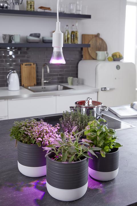 Produktbild Venso Grow Light Cultura (LED, 240 V)