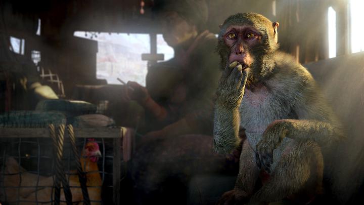 Produktbild Ubisoft Far Cry 4 (PS4, IT)