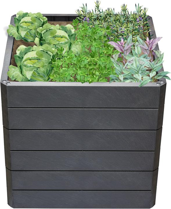 Immagine prodotto Garantia Ergo Quadro L 75