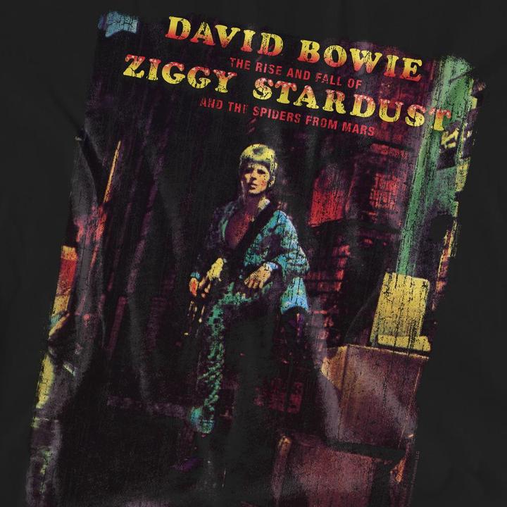 Image du produit David Bowie - T-shirt ZIGGY STARDUST ALBUM - Adulte (L)