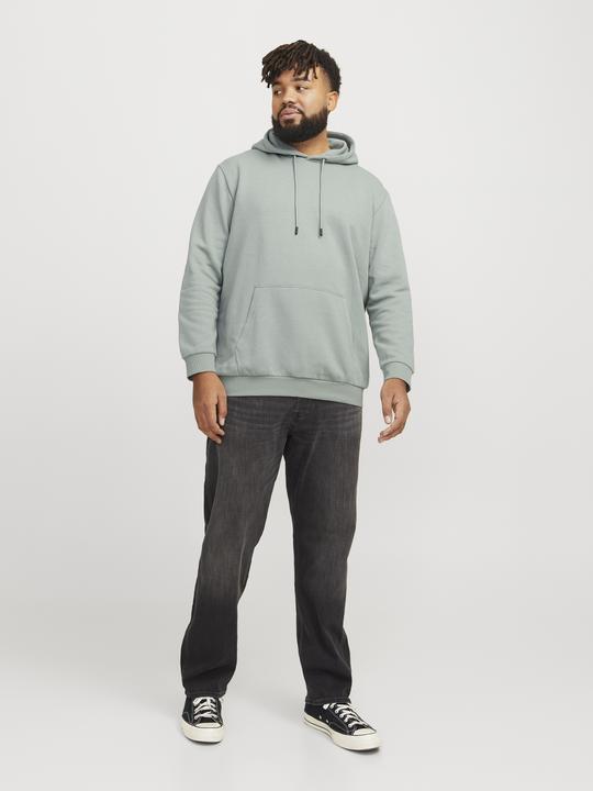 Produktbild Jack & Jones Jjebradley Sweat Hood Noos Pls (3XL)